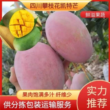 四川攀枝花凯特芒，现货上市，货源充足，提供分拣包装运输服务