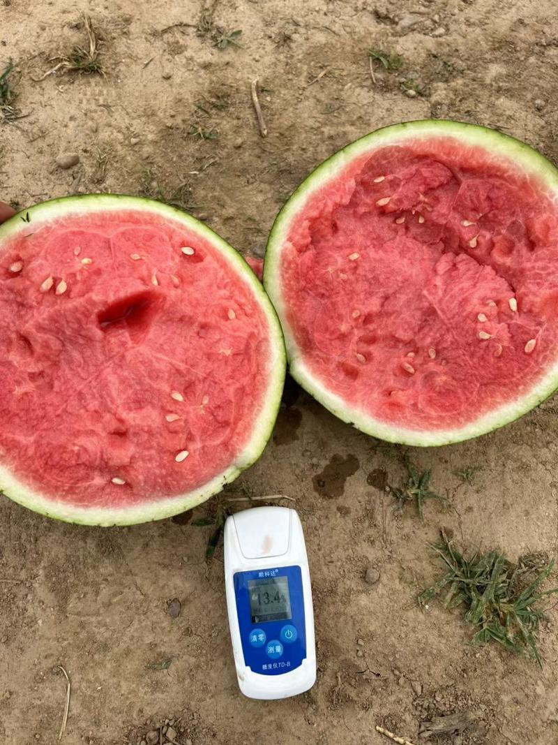 🅰8424西瓜小薄皮儿糖度高质量三包全国代发