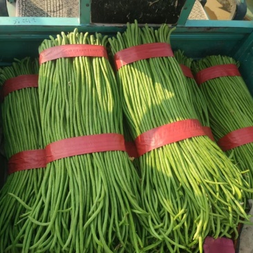 精品长豆角