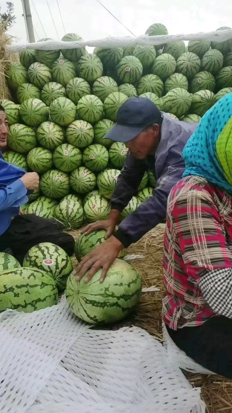 《热卖中》宁夏中卫硒砂瓜石头瓜石缝瓜全国供应欢迎电话咨询