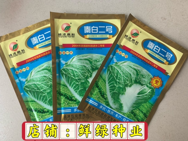 杨凌高科秦白二号生育期65天单球重2.5-3.5kg