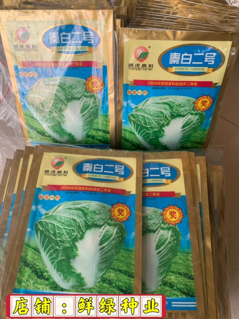 杨凌高科秦白二号生育期65天单球重2.5-3.5kg
