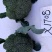 花菜种子比亚久1708细小粒耐寒低温下不变紫播种宽