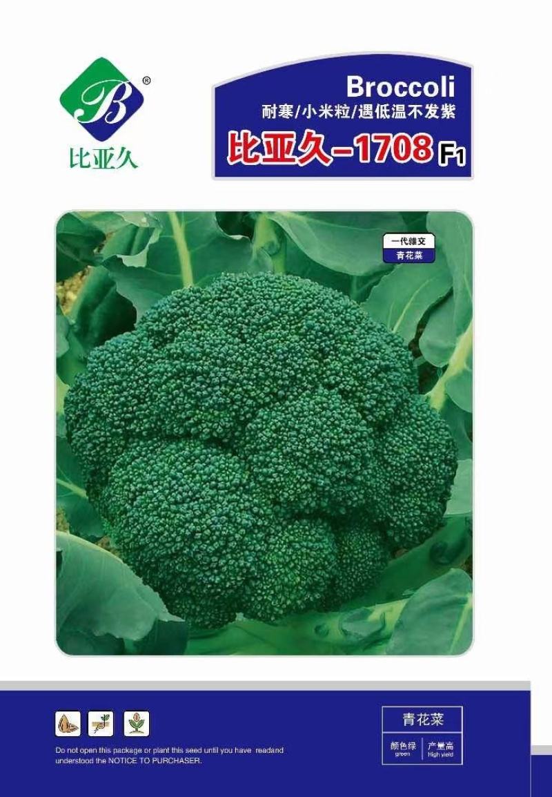 花菜种子比亚久1708细小粒耐寒低温下不变紫播种宽