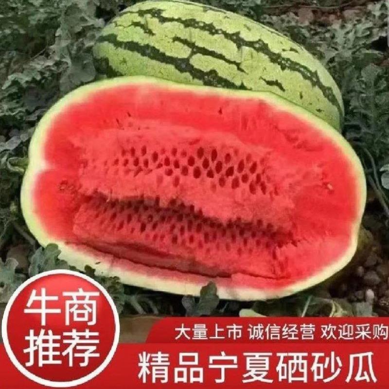 正宗宁夏中卫石头瓜，口感好，糖度高，保证质量，可全国发货