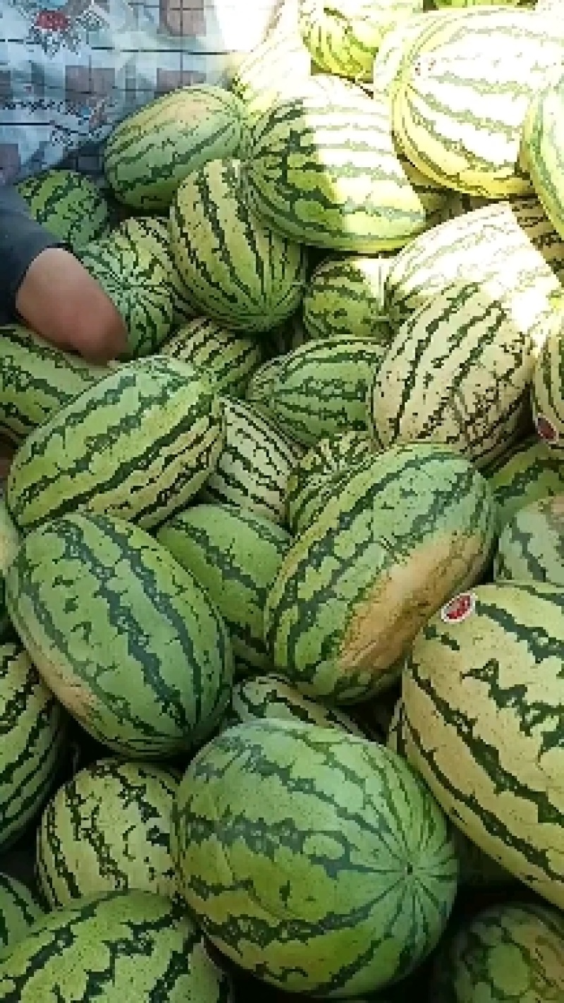 正宗宁夏中卫石头瓜，口感好，糖度高，保证质量，可全国发货