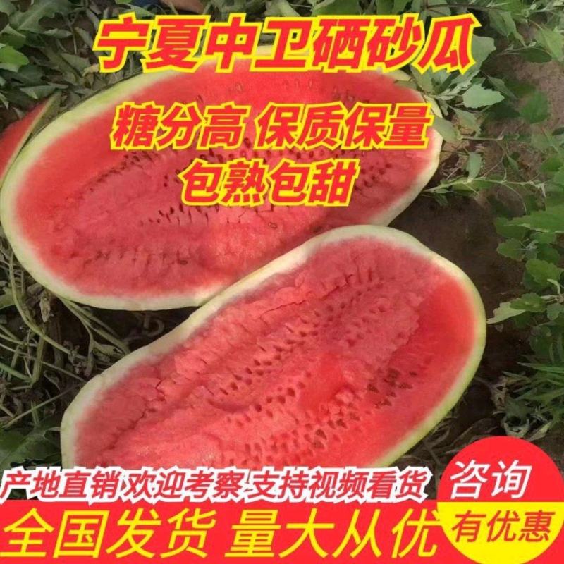 正宗宁夏中卫石头瓜，口感好，糖度高，保证质量，可全国发货