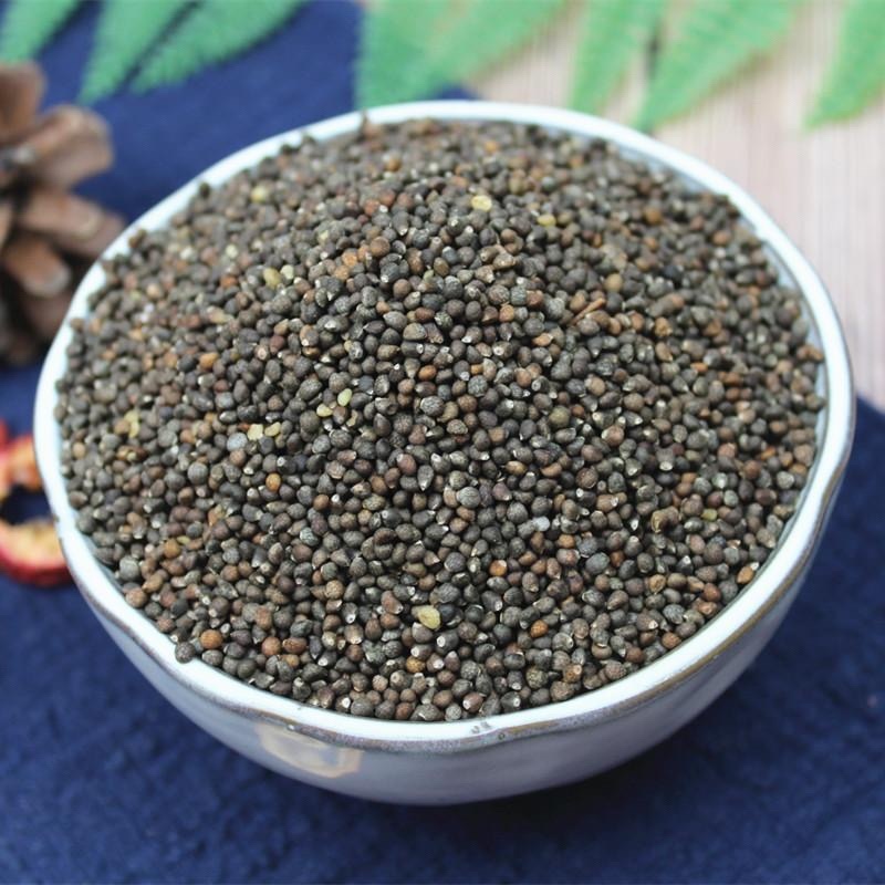 苦刺种子白刺花种子当年新种林木种子量大优惠