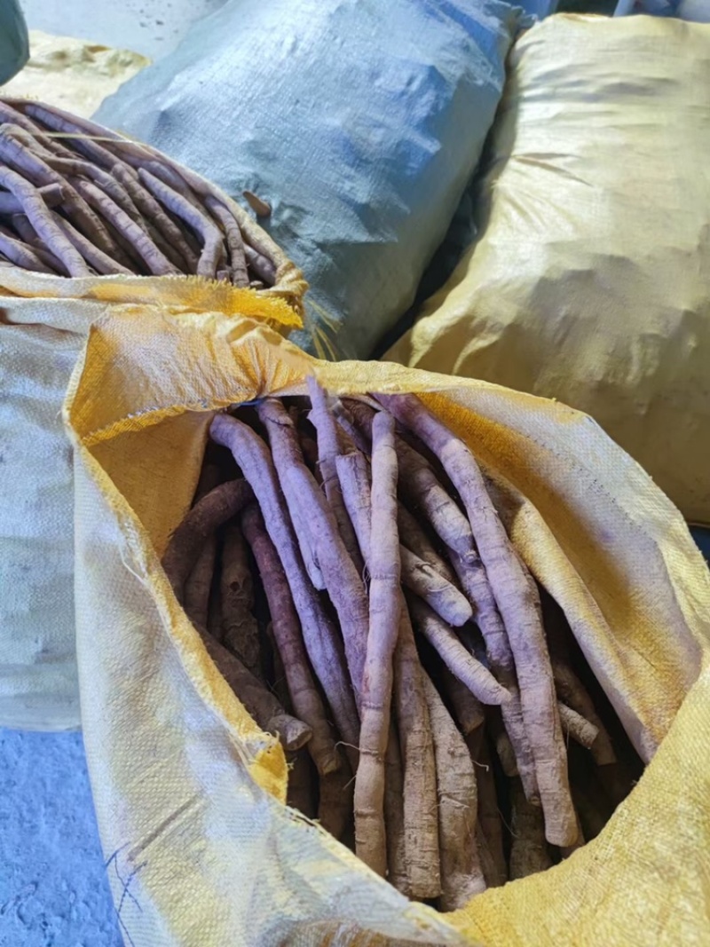 产地直销新鲜小叶牛大力生货各规格牛大力