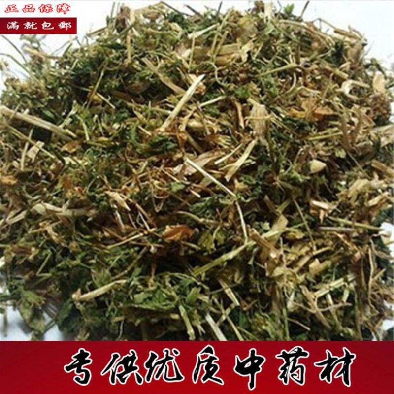 中药材正品繁缕草新鲜干货繁缕茶繁缕草茶鹅肠菜乌云草