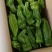 冷棚精品芜湖椒大量上市无虫色泽亮条形好对接棚户费用低