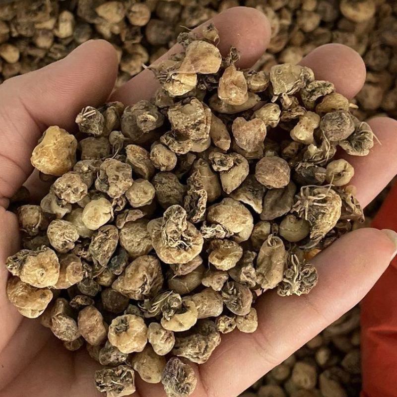 山慈菇中药山慈姑正宗山茨菇无硫毛慈菇冰球子杜鹃兰金登独蒜