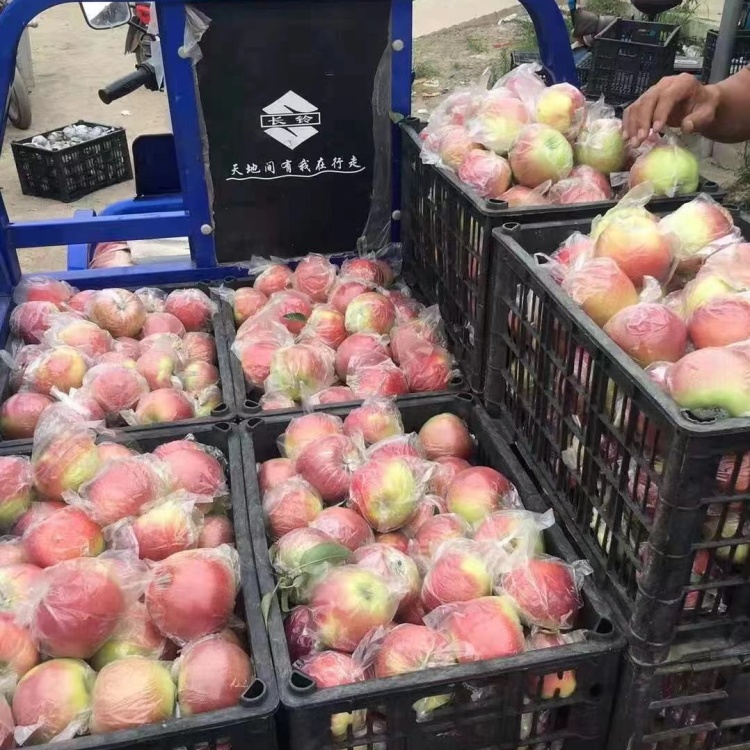 美区苹果怎么买东西的