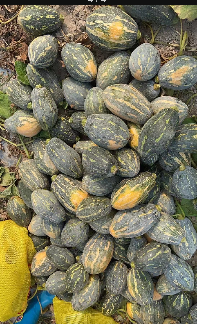 香芋南瓜粉糯香甜，大量上市，对接商场电商。产地直发