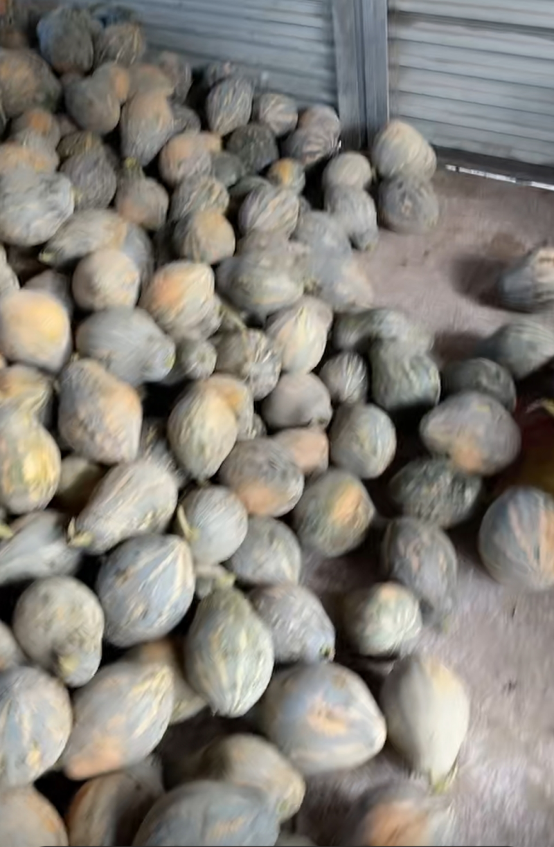 香芋南瓜粉糯香甜，大量上市，对接商场电商。产地直发