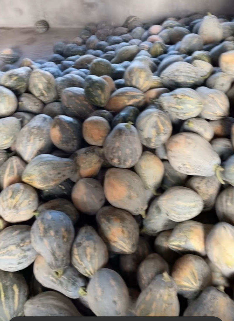 香芋南瓜粉糯香甜，大量上市，对接商场电商。产地直发
