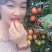 多品种圣女果