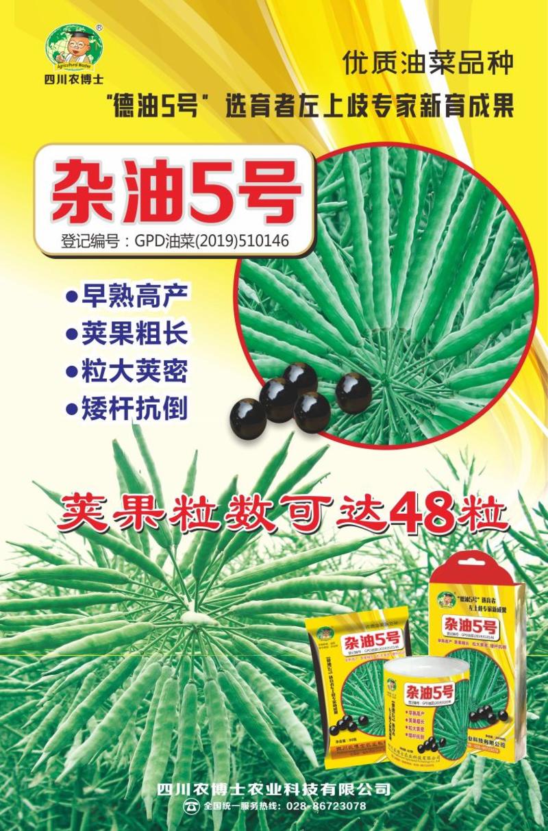 四川杂油5号油菜种子矮杆抗倒粒大荚密抗病高产油菜籽种子