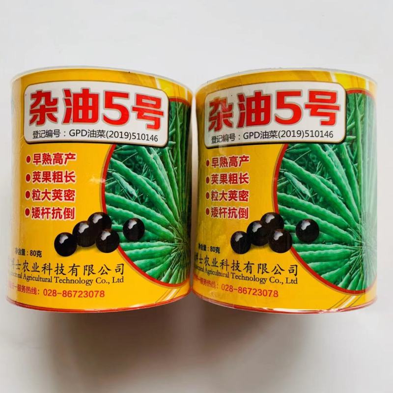 四川杂油5号油菜种子矮杆抗倒粒大荚密抗病高产油菜籽种子
