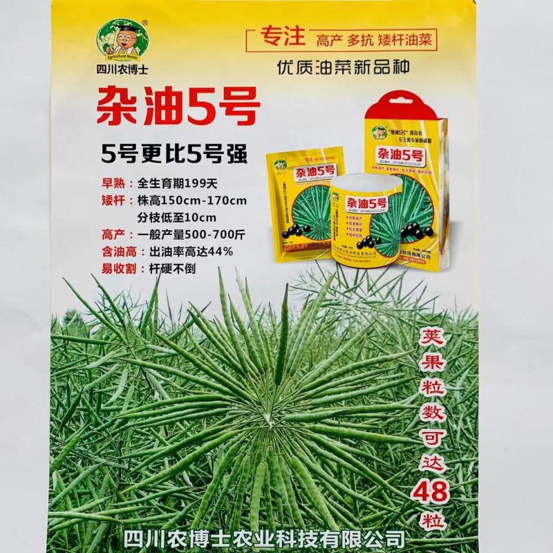四川杂油5号油菜种子矮杆抗倒粒大荚密抗病高产油菜籽种子