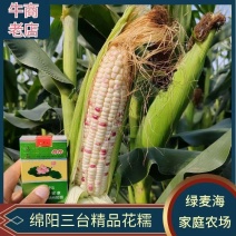 四川花糯玉米，白糯玉米，黄甜玉米个大清秀无虫价优