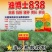 油博士838油菜种子优质抗病强抗倒油菜花种籽矮杆多油油菜