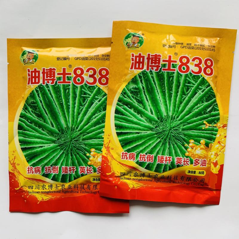 油博士838油菜种子优质抗病强抗倒油菜花种籽矮杆多油油菜