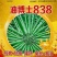 油博士838油菜种子优质抗病强抗倒油菜花种籽矮杆多油油菜