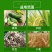 中化爱可戊唑醇烯肟菌酯白粉病稻瘟病纹枯病杀菌剂