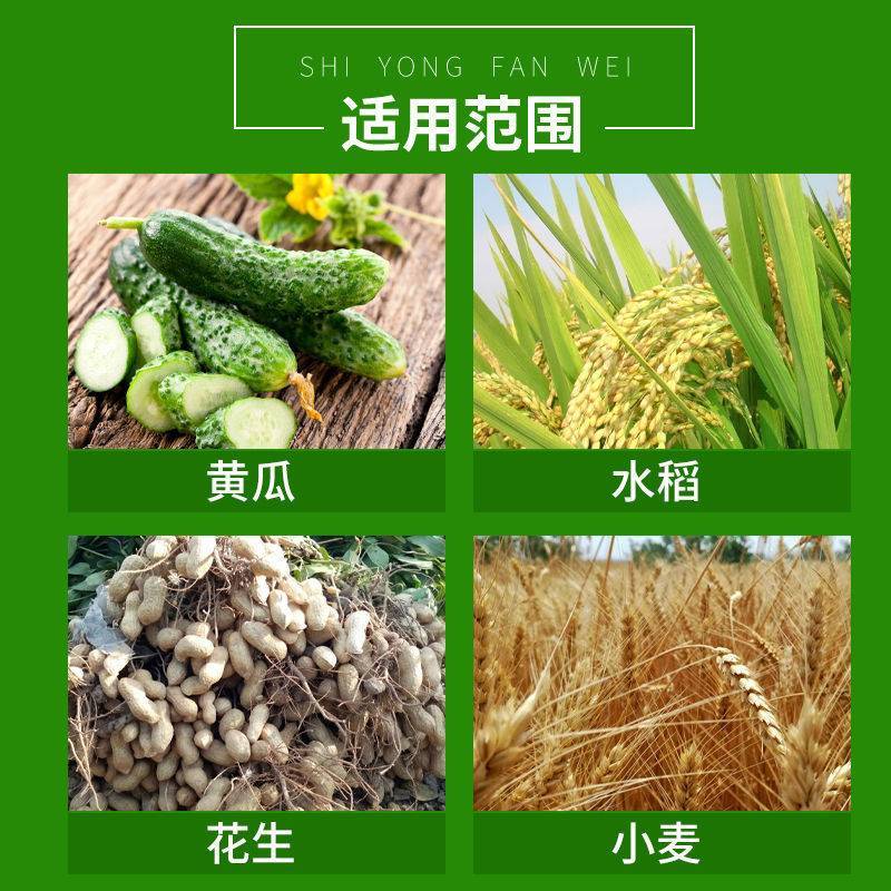 中化爱可戊唑醇烯肟菌酯白粉病稻瘟病纹枯病杀菌剂