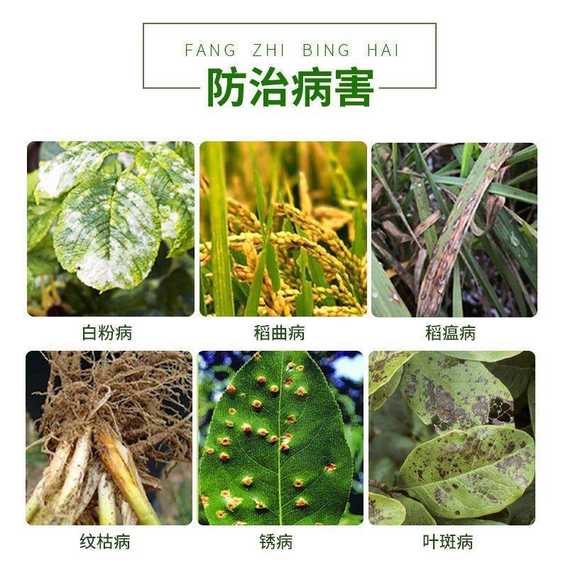 中化爱可戊唑醇烯肟菌酯白粉病稻瘟病纹枯病杀菌剂
