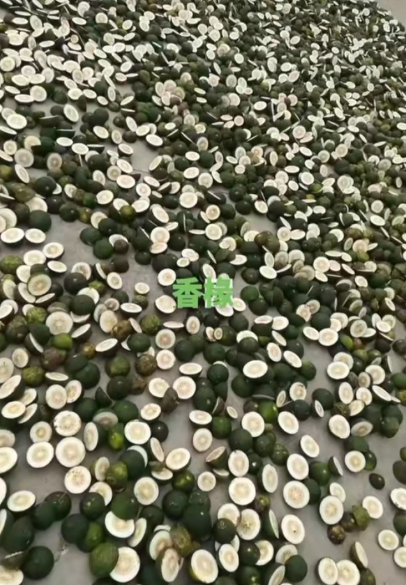 精品药材香橼大量上市，质量好，颜色好，
