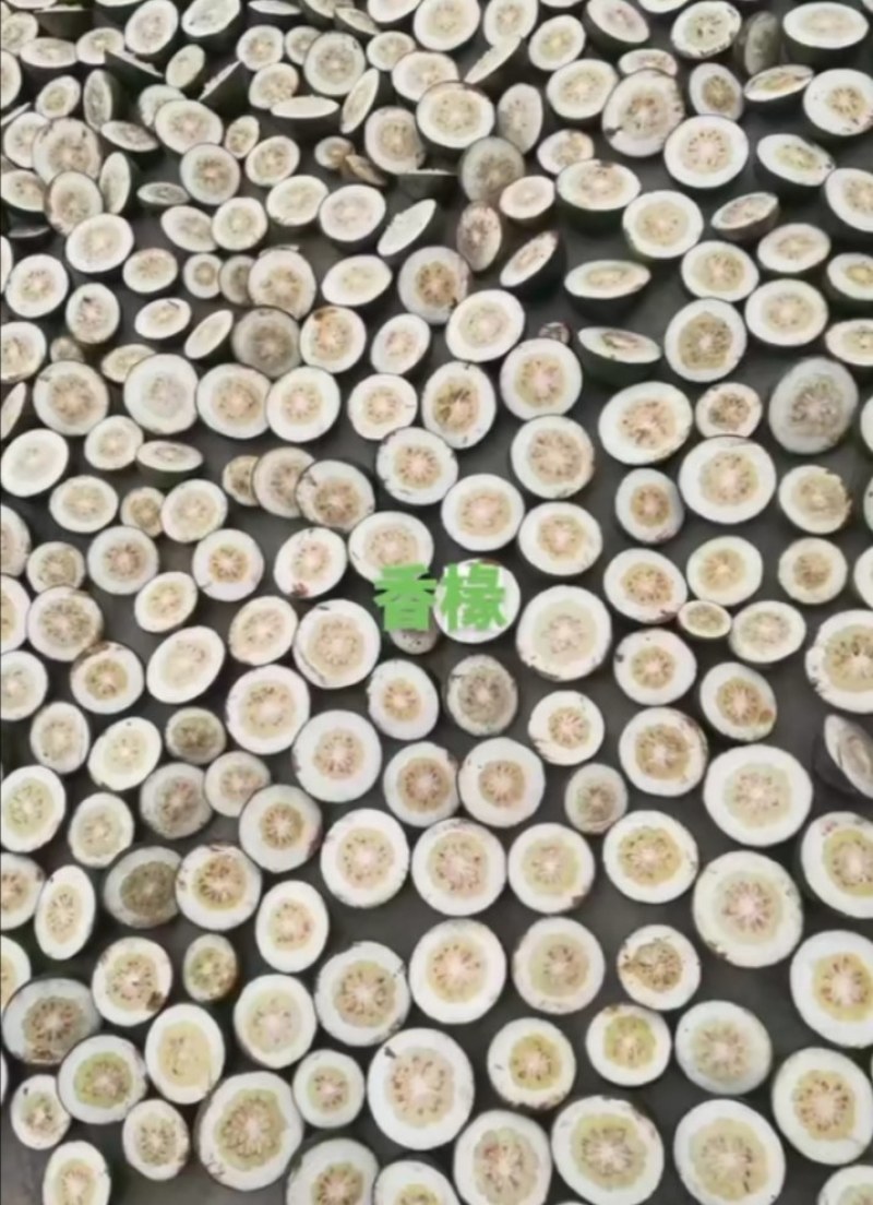 精品药材香橼大量上市，质量好，颜色好，