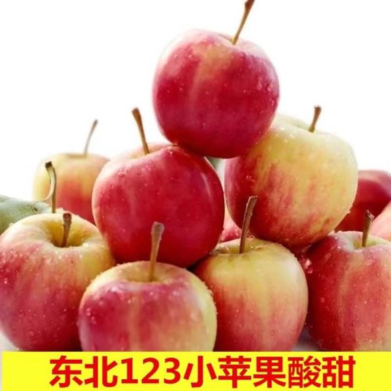 辽宁精品123小苹果新鲜采摘产地直发货源充足量大从优