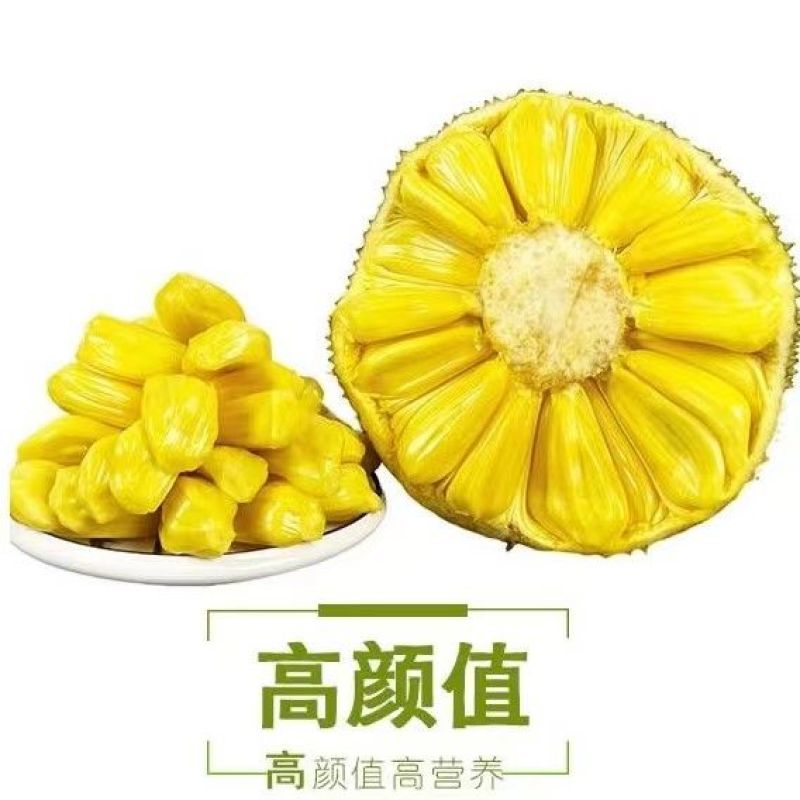 无胶菠萝蜜