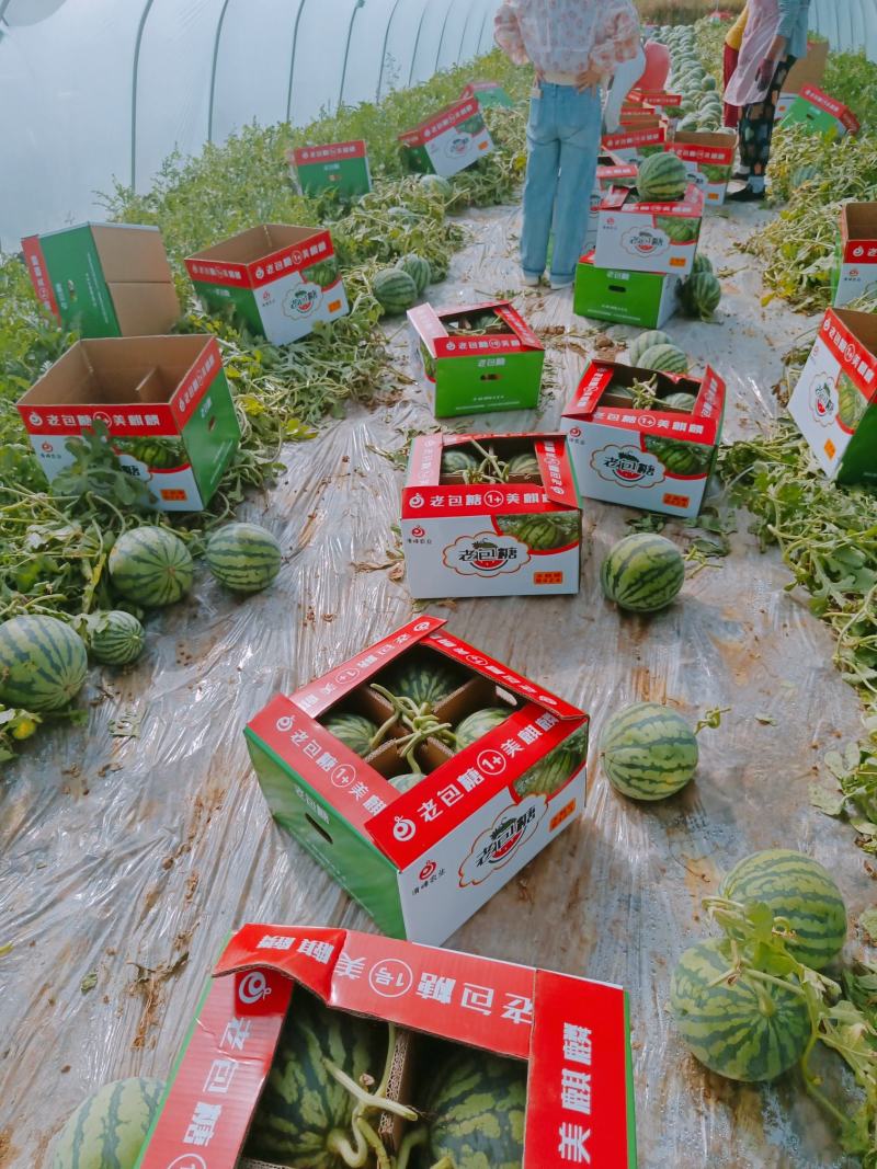 麒麟西瓜，汁多，口感甜，