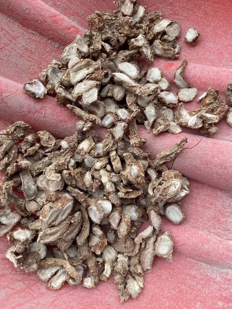 无硫沙姜国产大沙姜香味沙姜批发