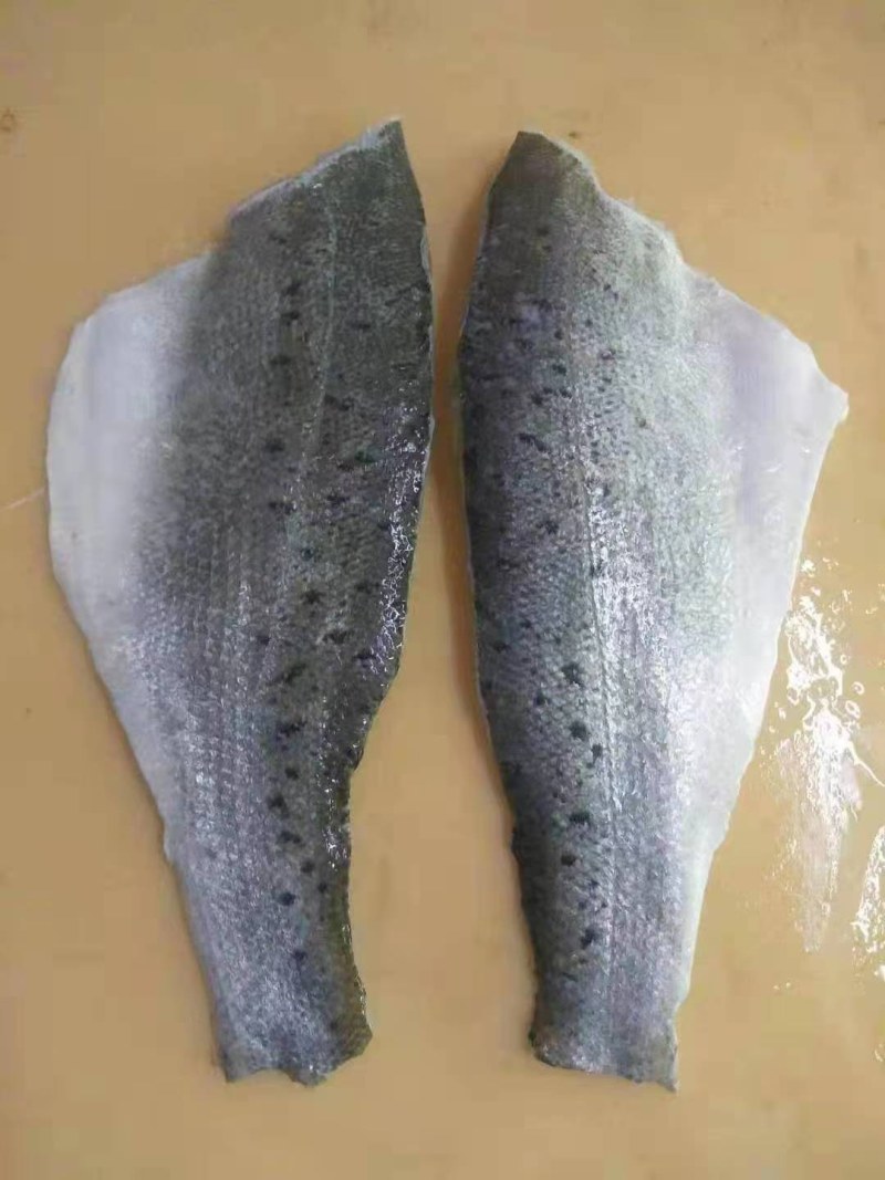 海鲈鱼柳460元/件