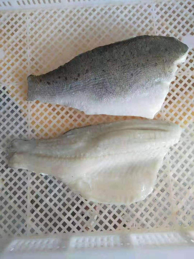 海鲈鱼柳460元/件