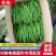 鲜辣椒线椒青辣椒陇上江南辣椒种植基地诚实守信物美价廉
