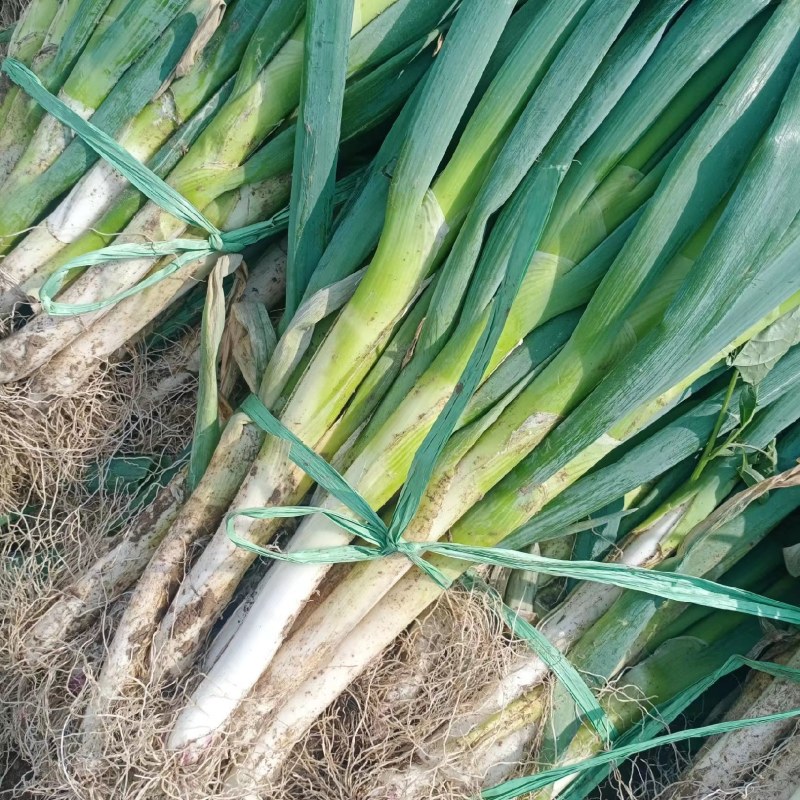 精品大葱:葱白又直又长，粗度好口感好。