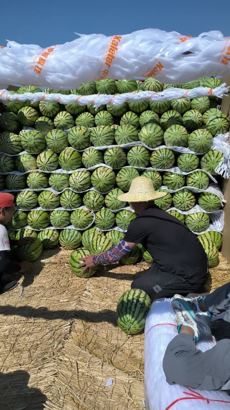 宁夏中卫硒砂西瓜7月1号上市货源充足量大从优欢迎联