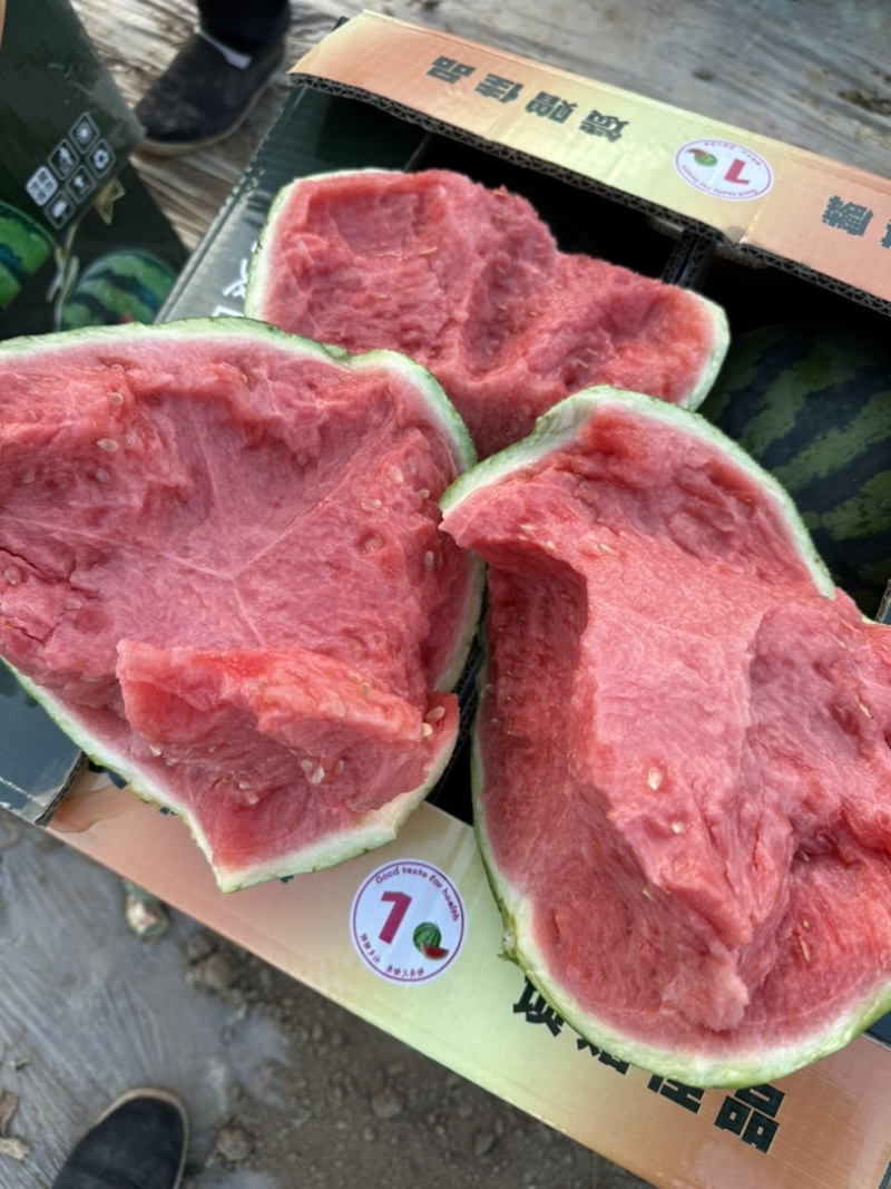 云南西瓜高品质万亩精品美都西瓜产地直供大量上市