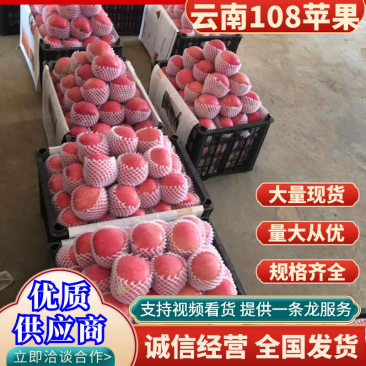 昭通108大量上市了产地直发、社团、电商供应链