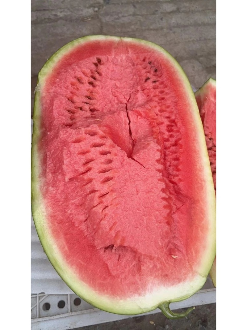 【地头直发】宁夏中卫硒砂瓜石头瓜电商商超欢迎来电咨询