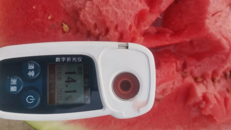 【热卖中】宁夏中卫西瓜硒砂瓜石头瓜个头大包熟包甜大量上市