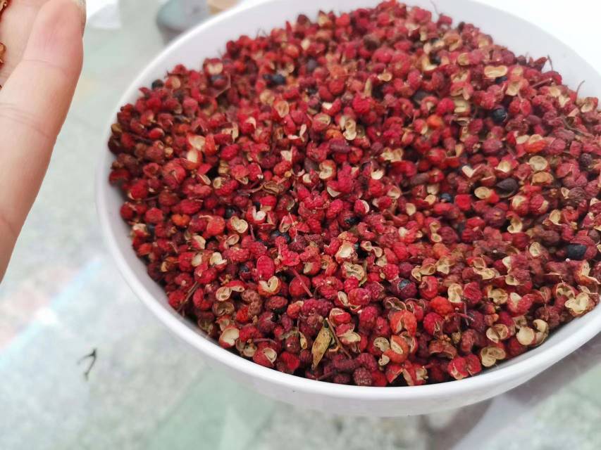 高清微距摄影:新鲜山东胶州大白菜叶片切段与甘肃秦安大红袍花椒粒共同置于搪瓷锅中,清水浸没,炉火微沸状态,水面浮有细密白色泡沫(果胶与皂苷混合物),花椒表皮微绽,释放浅黄色油珠,温度计显示98.3℃ 白菜与花椒共煮过程特写