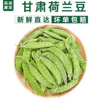 【热卖中】荷兰豆豌豆水果豆甜脆豆电商社区团购多多一件代发