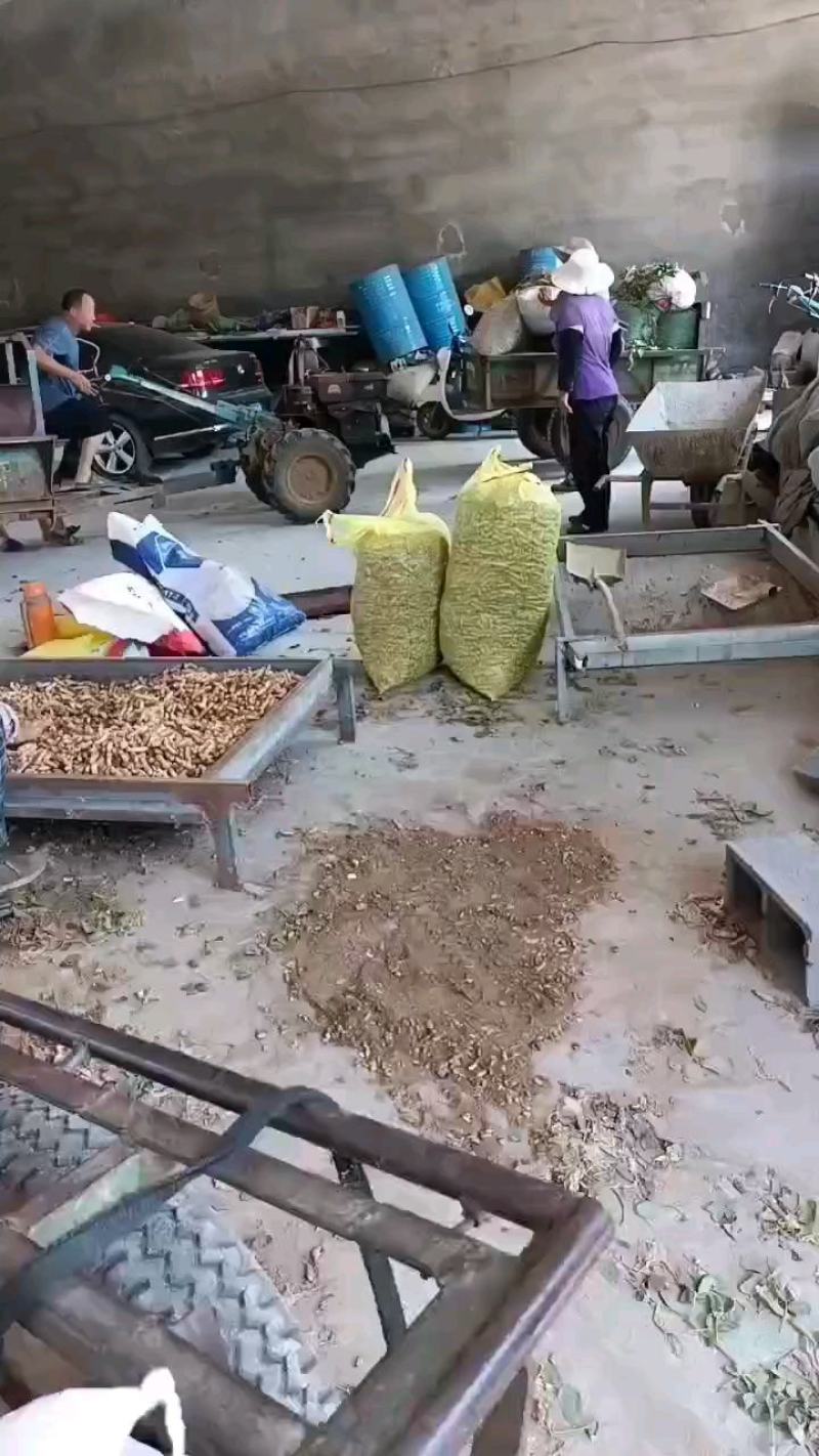 四粒红鲜花生大量上市，马耳山下的山岒地，颜色好看，欢迎前
