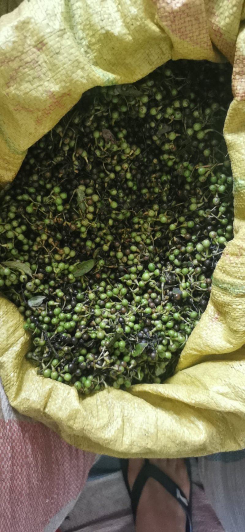 云南木姜子（山苍子，山胡椒）新货大量上市，原产地供货。